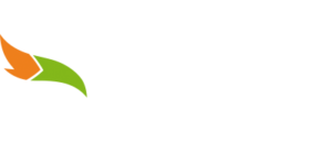 B-foxes